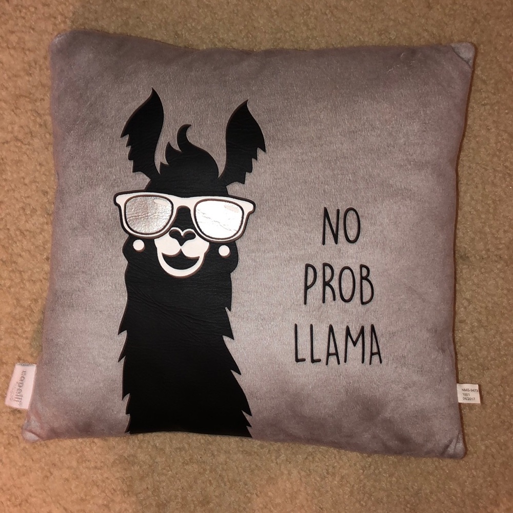 Funny throw pillow